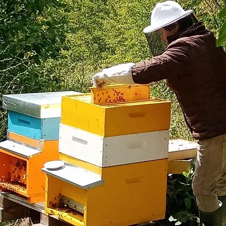 Il Rifugio Dell'ape Bed & Breakfast