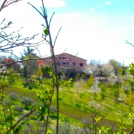 Il Rifugio Dell'ape Senigallia
