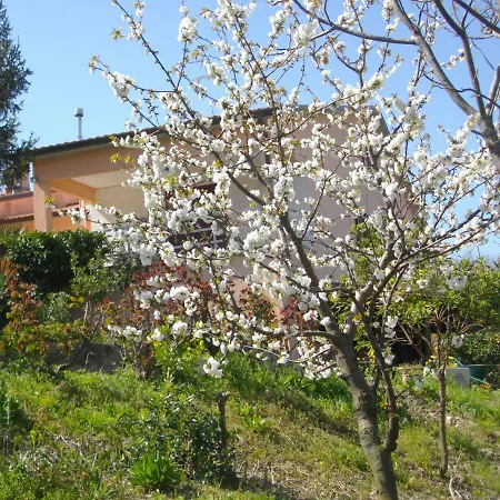 Il Rifugio Dell'ape Oda ve Kahvaltı Senigallia